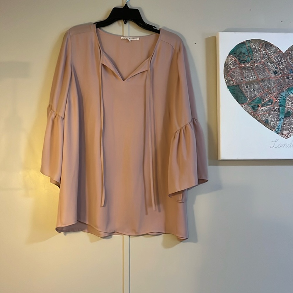 Flowy Sheer Top